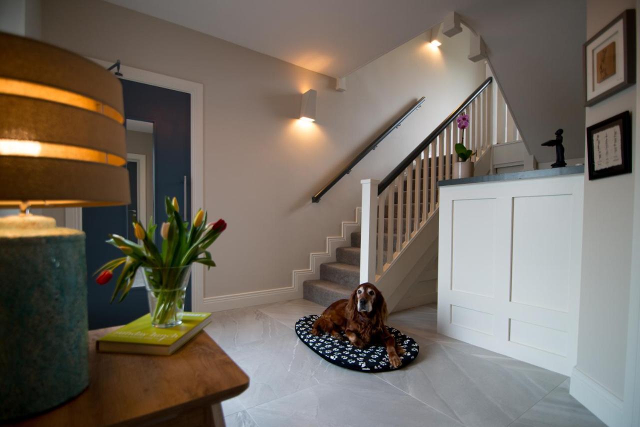 Sheedy'S Doolin Bed & Breakfast Bagian luar foto